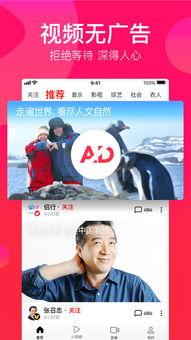 吃瓜挨揍视频大全下载免费,免费下载,揭秘网络暴力真相 第2张 吃瓜挨揍视频大全下载免费,免费下载,揭秘网络暴力真相 第2张