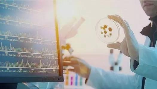 科技新闻投稿爆料,揭秘最新突破性科技进展与行业动态  第3张