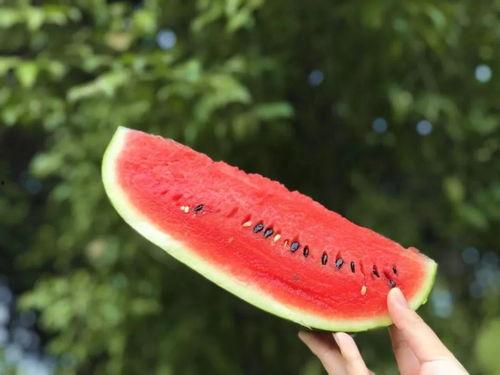 有一个网站可以免费吃瓜,畅享网络娱乐新体验  第2张