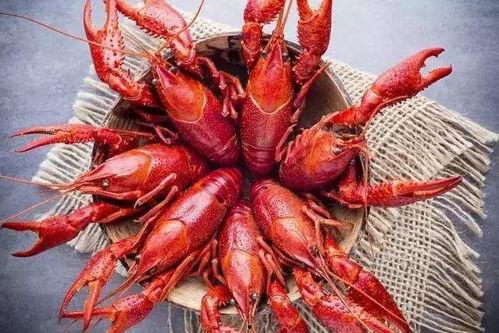 厦门龙虾爆料事件视频曝光,揭露海鲜市场惊人内幕 第3张 厦门龙虾爆料事件视频曝光,揭露海鲜市场惊人内幕 第3张